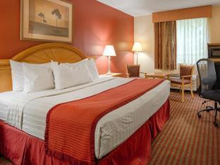 Best Western Center Inn Virginia Beach Quarto foto