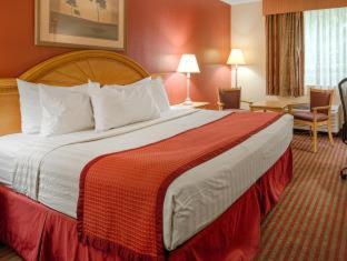 Best Western Center Inn Virginia Beach Quarto foto